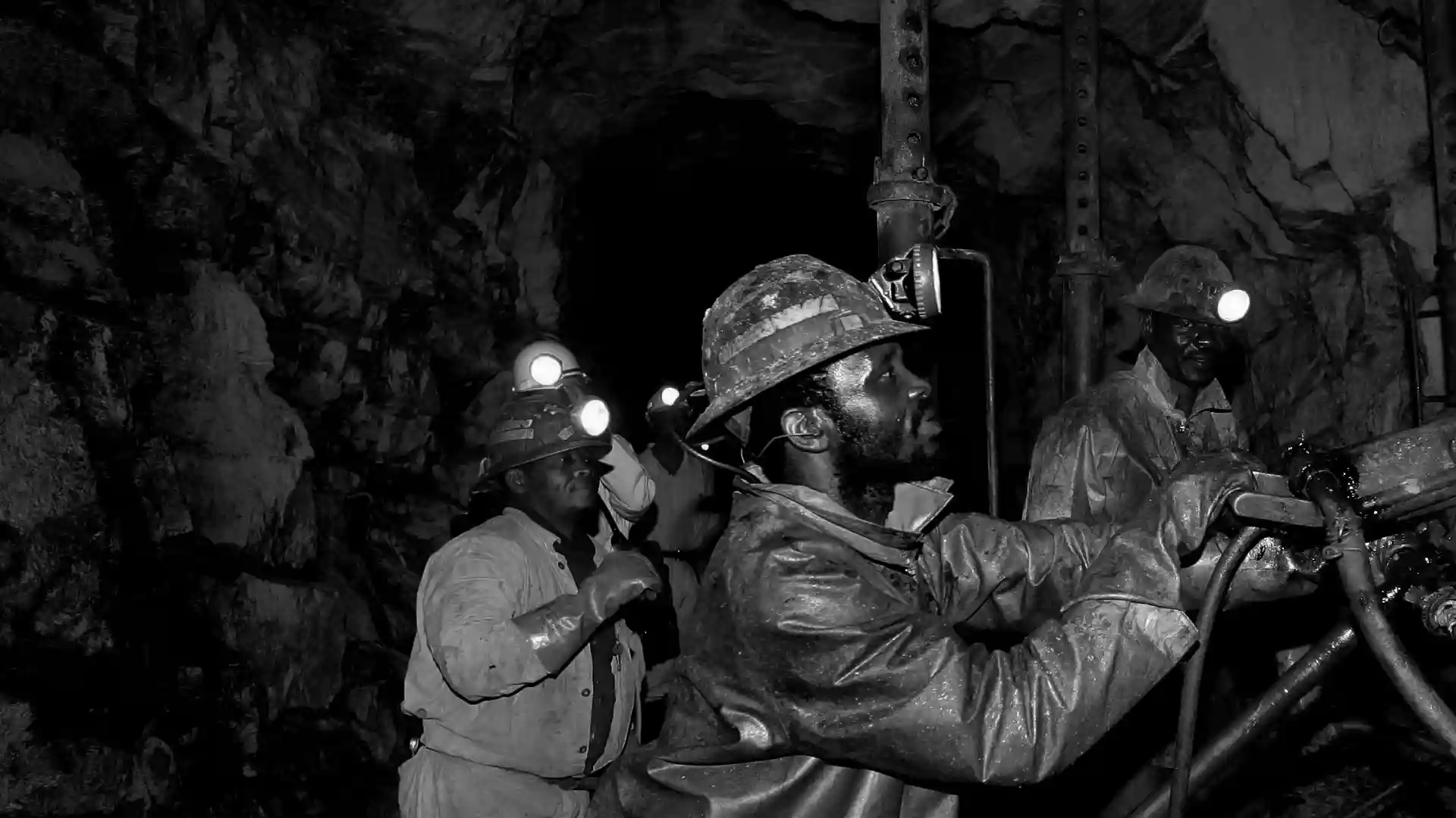 Multiple Integrated Value Chains